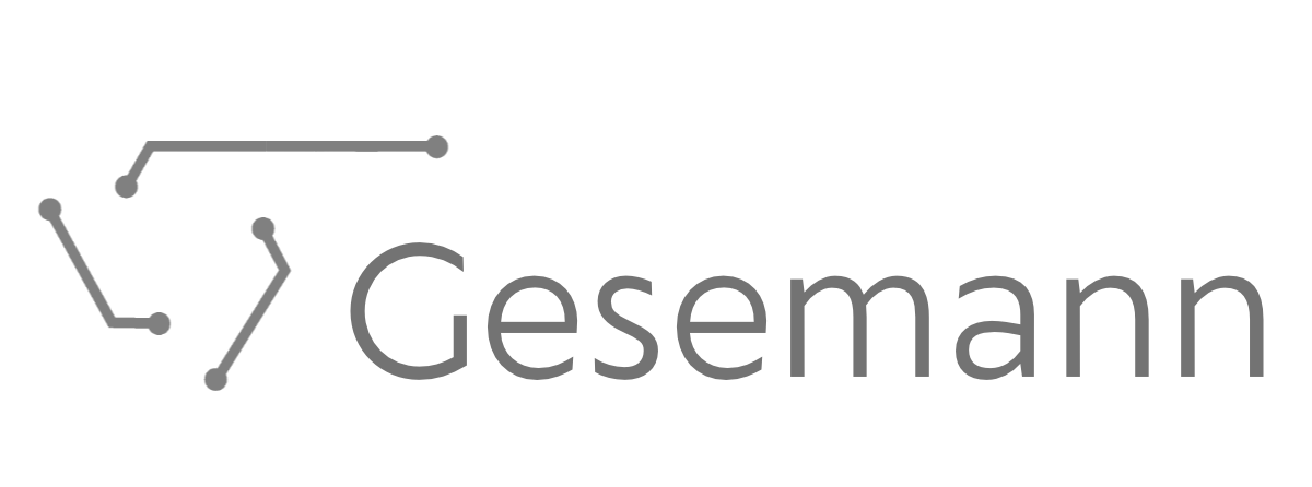 Logo der Firma Web&IT Gesemann in White / Grey
